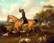 unknow artist Classical hunting fox, Equestrian and Beautiful Horses, 216. Spain oil painting artist